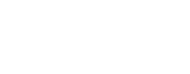 Hotel Web International